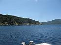 IMG_2929