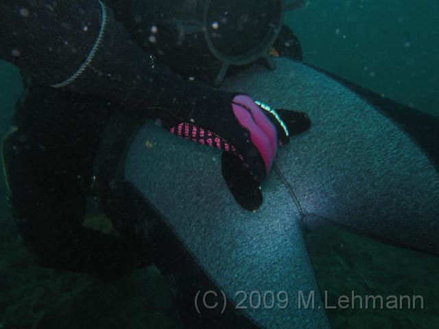 IMG_3732.JPG