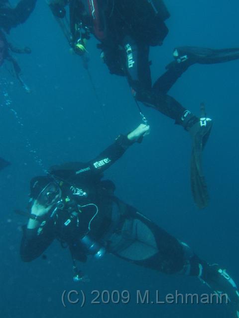 IMG_3740.JPG
