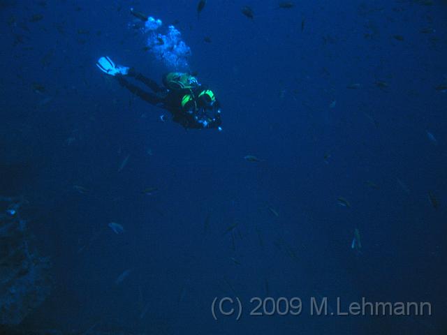 IMG_3845.JPG