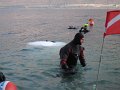 IMG_2458