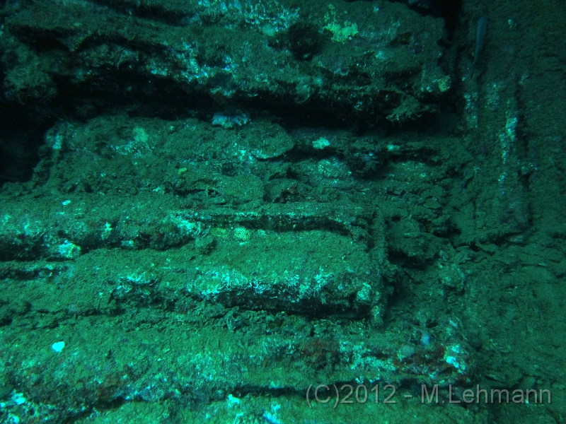 IMG_2628.JPG -                                