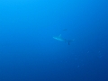 IMG_2905