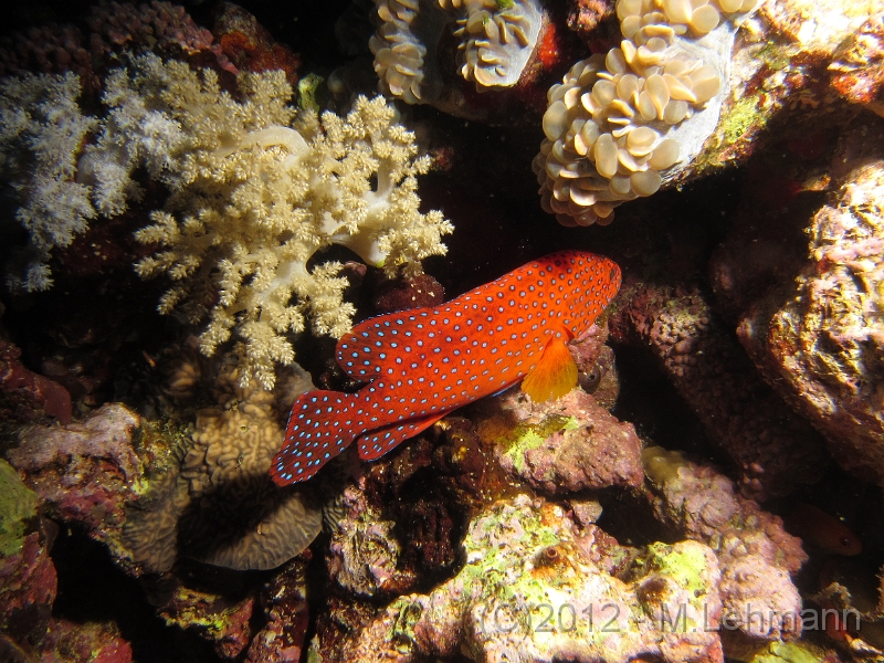IMG_2960.JPG