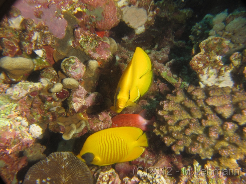 IMG_2990.JPG