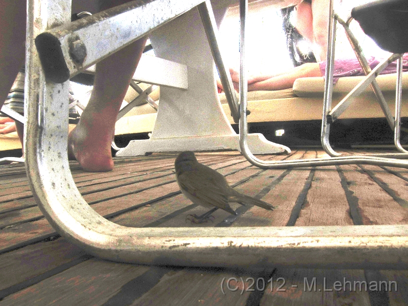 IMG_3000.JPG -                                