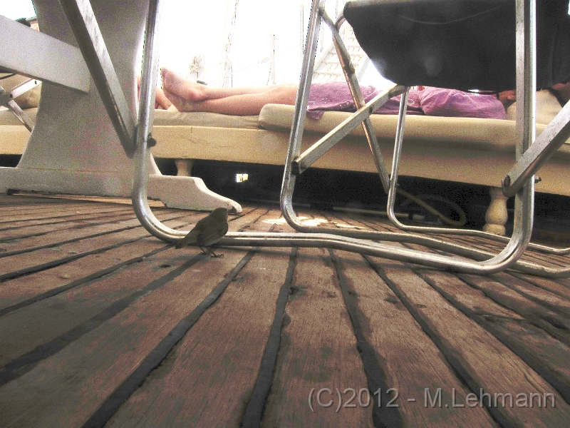 IMG_3001.JPG -                                
