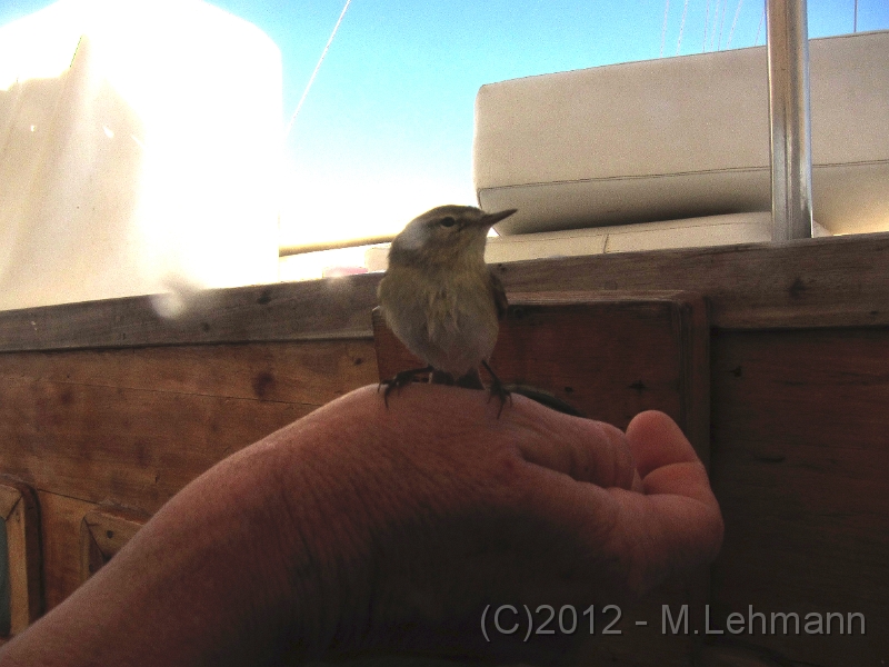 IMG_3002.JPG -                                