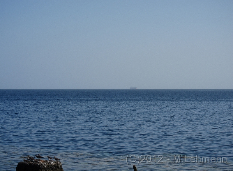 IMG_3052.JPG -                                