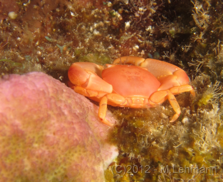 IMG_3106.JPG -                                