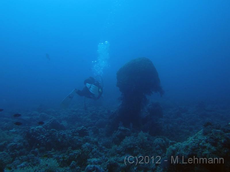 IMG_3218.JPG -                                