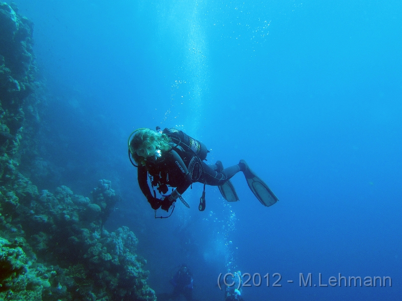IMG_3325.JPG -                                