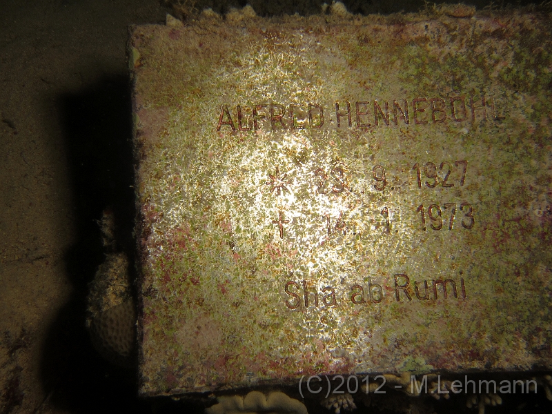 IMG_3446.JPG -                                