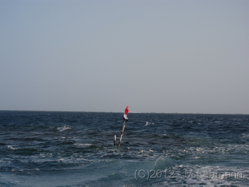 IMG_3514.JPG
