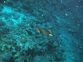 IMG_3682