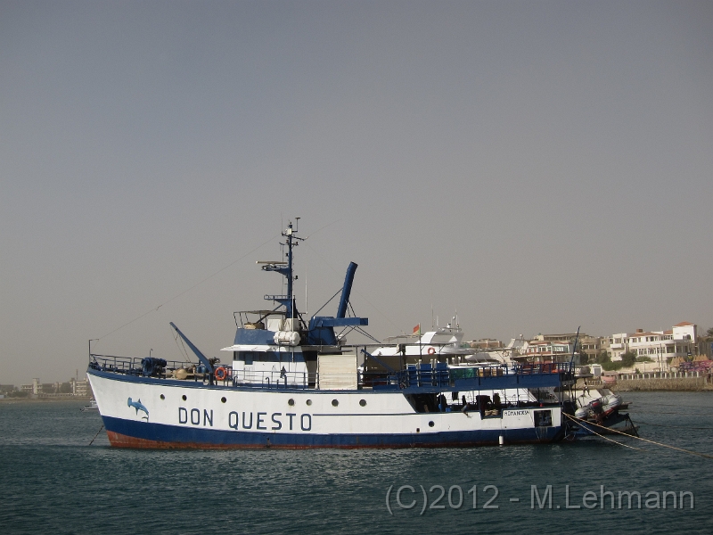 IMG_3778.JPG