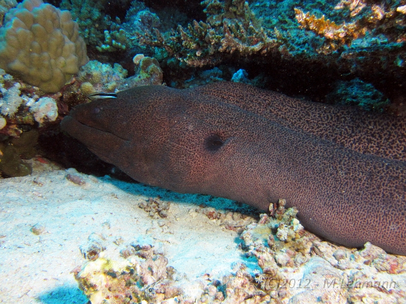 IMG_4559.JPG