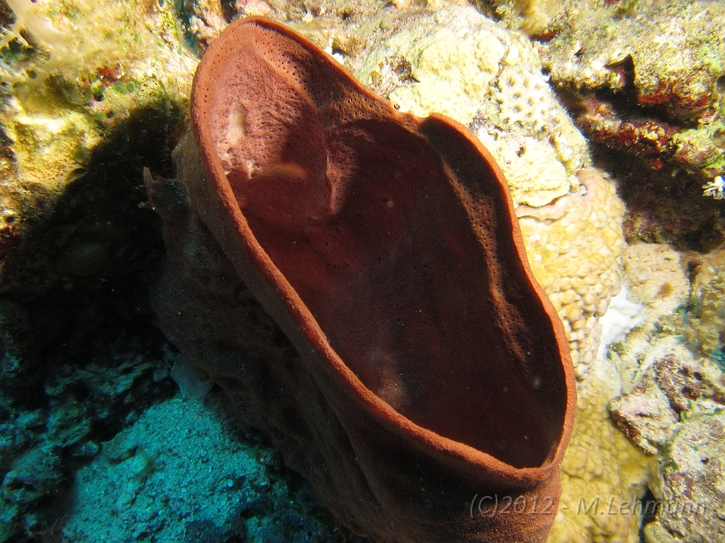 IMG_4722.JPG