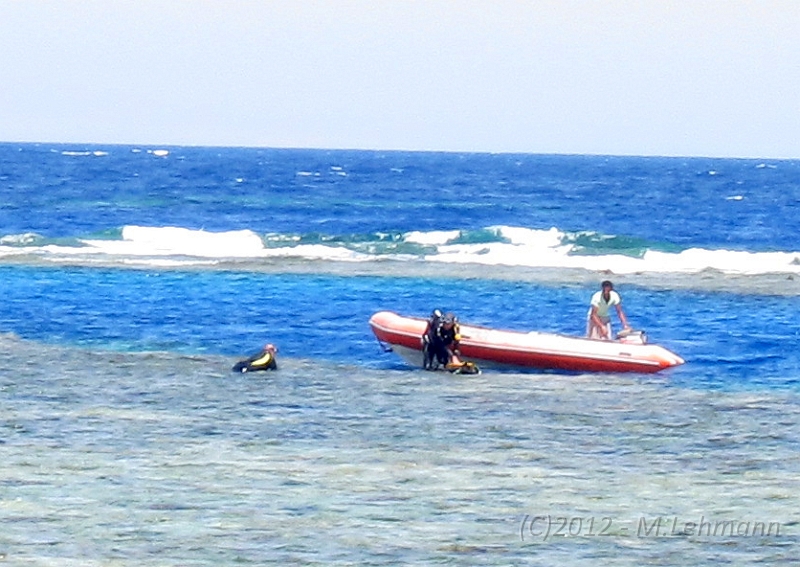 IMG_4910.JPG -                                