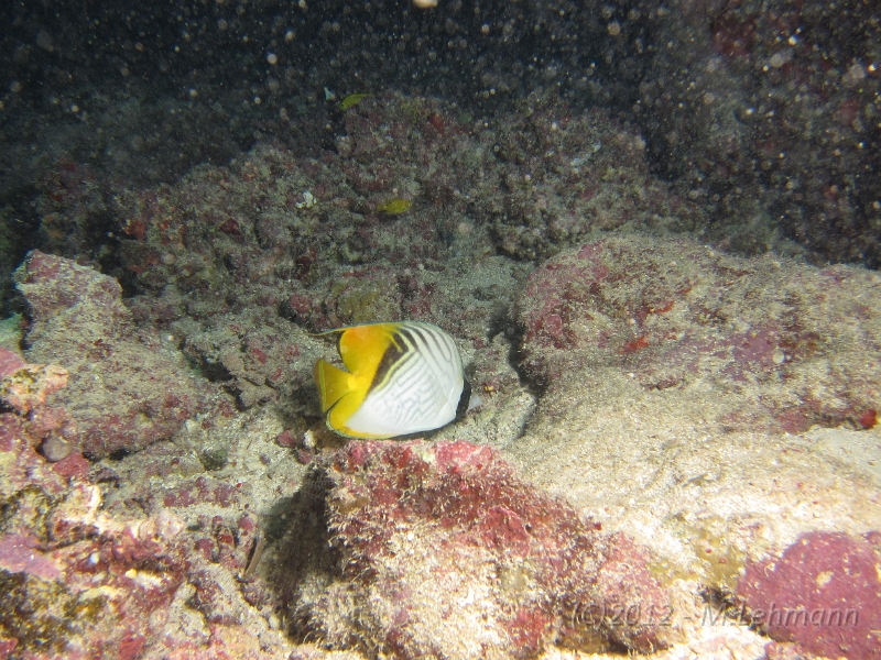 IMG_4925.JPG