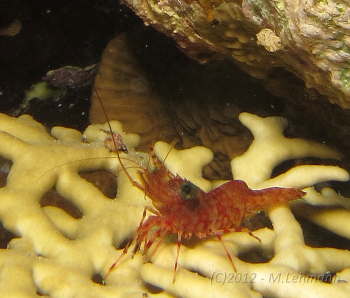 IMG_5083.JPG -                                