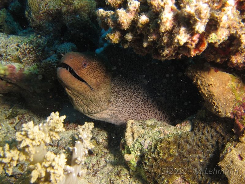 IMG_5227.JPG