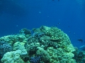 IMG_5209