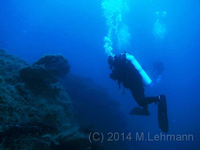 IMG_9264.JPG -                                