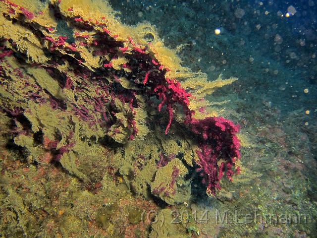IMG_9266.JPG -                                