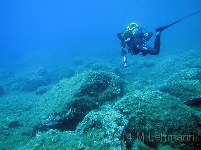 IMG_9280.JPG -                                