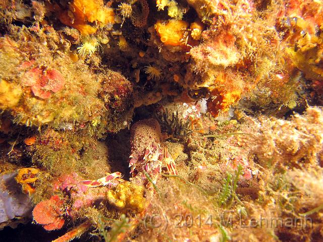 IMG_9302.JPG -                                