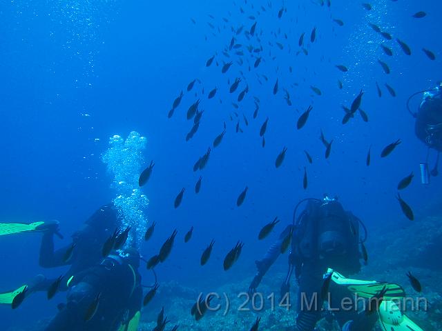 IMG_9314.JPG -                                