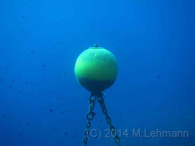 IMG_9320.JPG -                                