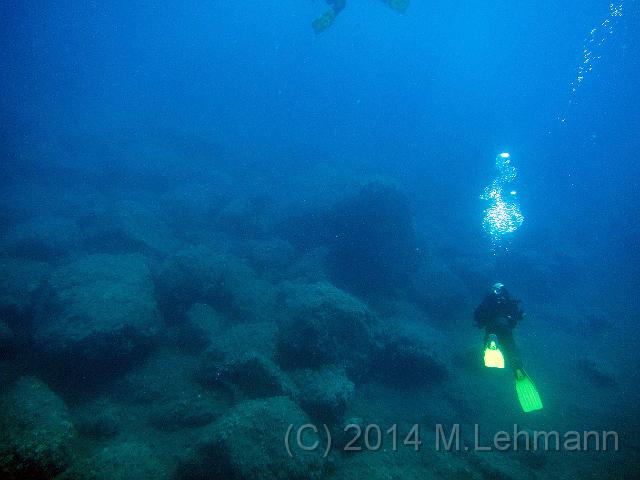 IMG_9329.JPG -                                
