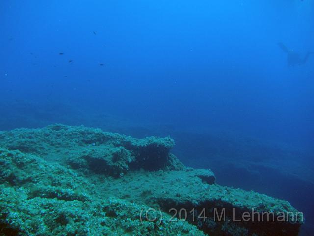 IMG_9332.JPG -                                
