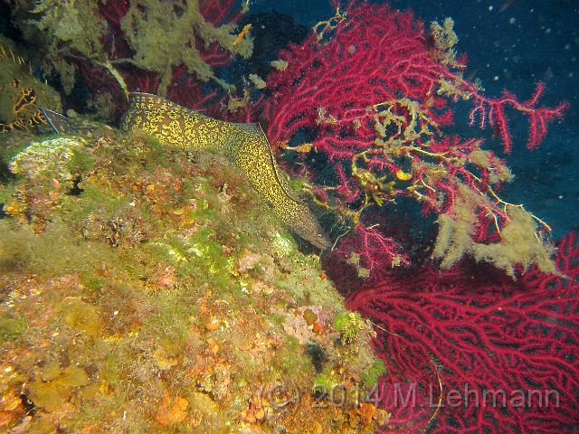 IMG_9340.JPG -                                