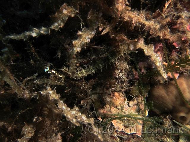 IMG_9356.JPG -                                