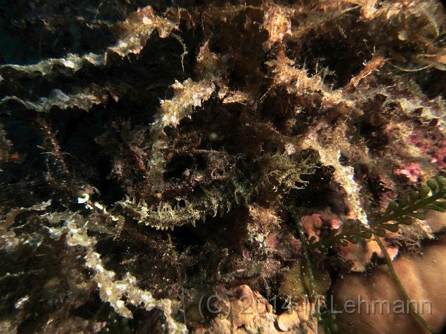 IMG_9357.JPG -                                