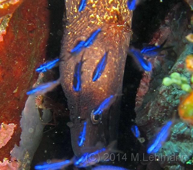 IMG_9375.JPG -                                