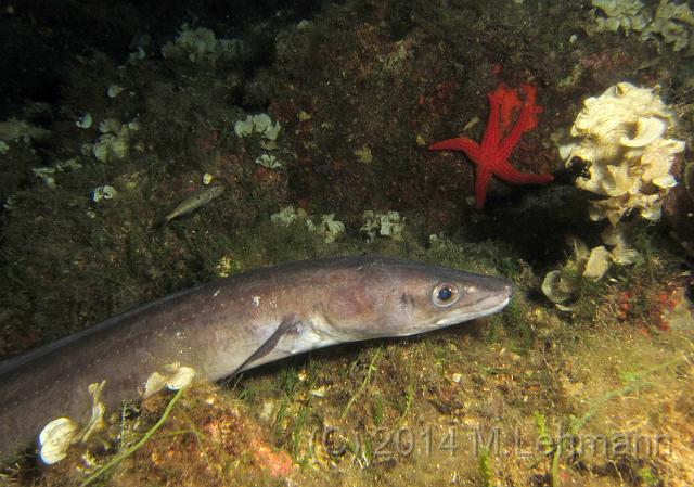 IMG_9420.JPG -                                
