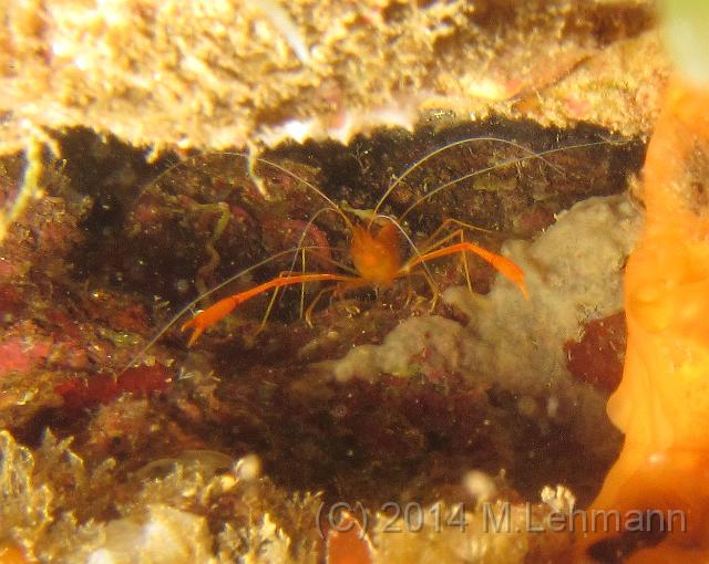 IMG_9425.JPG -                                