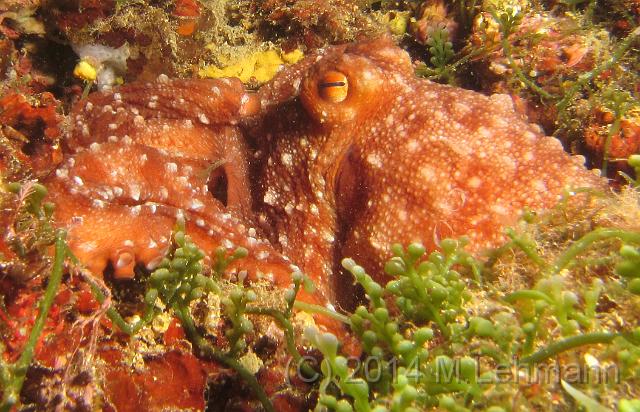 IMG_9438.JPG -                                