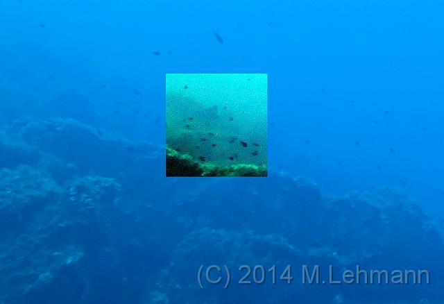 IMG_9470.JPG -                                