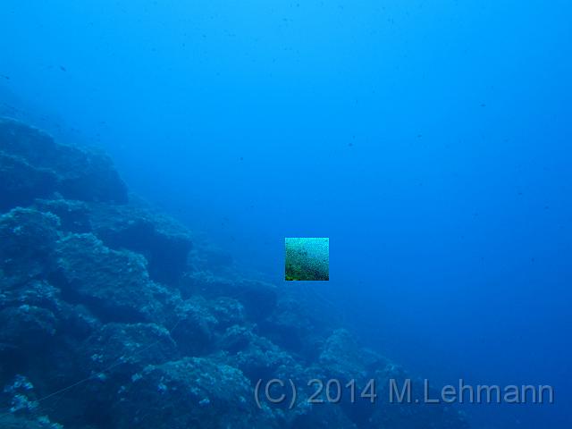 IMG_9471.JPG -                                