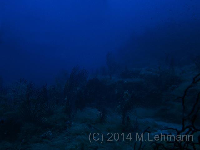 IMG_9488_1.jpg -                                